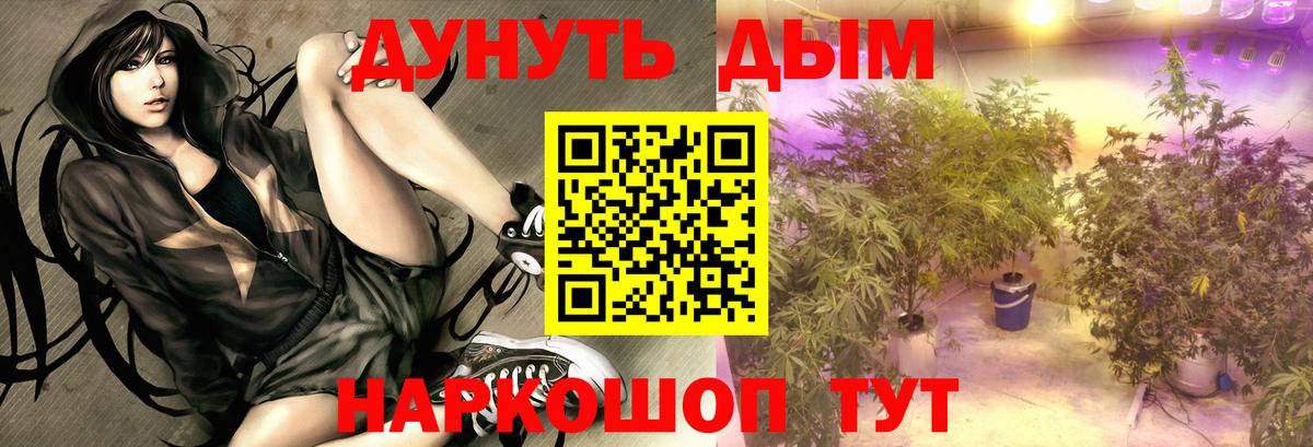 МАРИХУАНА White Widow Изобильный